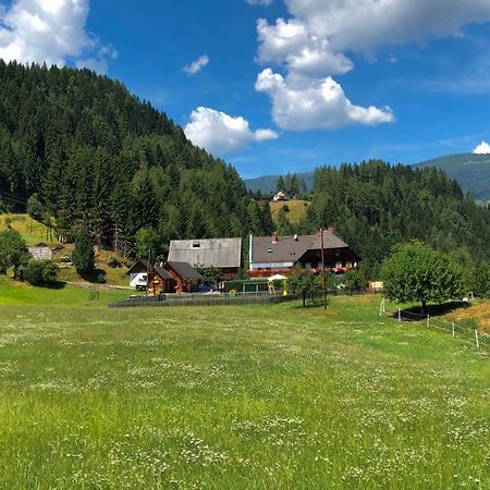 Haus Edlinger Inclusive Murau Sommer Gaeste Card Санкт-Георген-об-Мурау Экстерьер фото