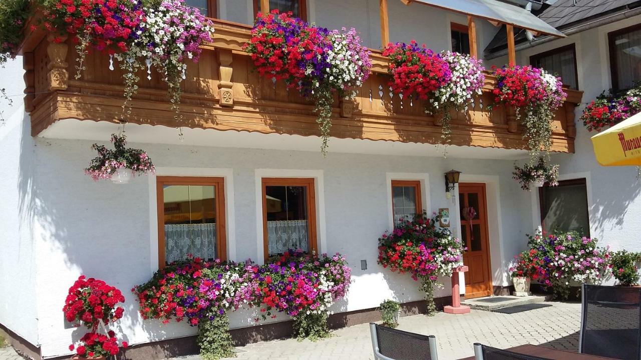 Haus Edlinger Inclusive Murau Sommer Gaeste Card Санкт-Георген-об-Мурау Экстерьер фото